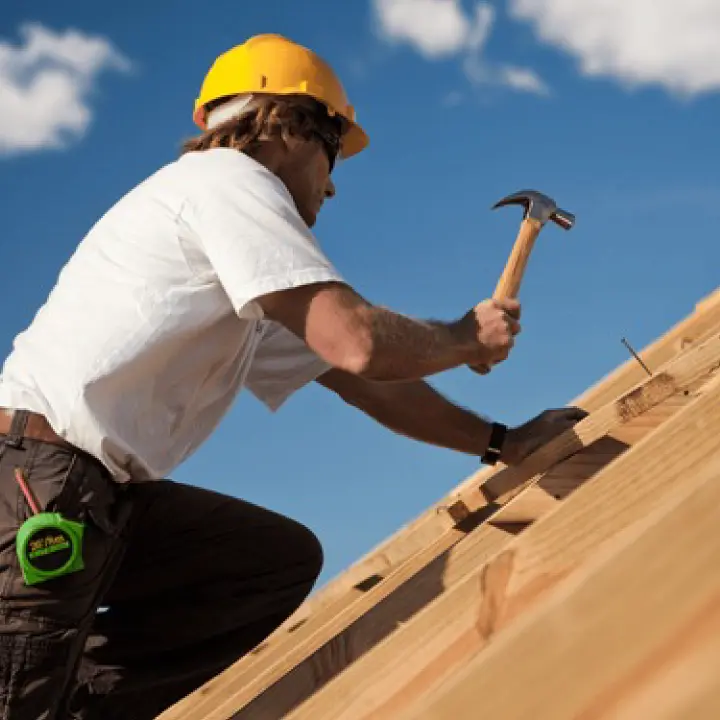 roof carpenter